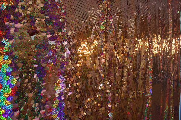 Photo Booth Bronze Backdrop
