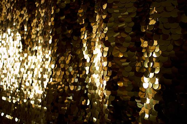 Photo Booth Gold Backdrop