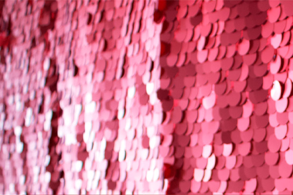 Photo Booth Red Background